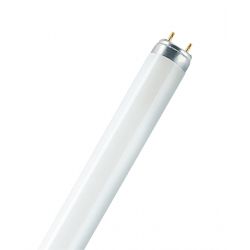 Ledvance Fluorescent Tube L 30w/827 (c) - Peg - Pære