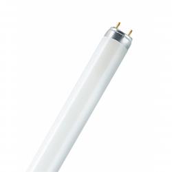 Ledvance Fluorescent Tube L 36w/827 (c) - Peg - Pære